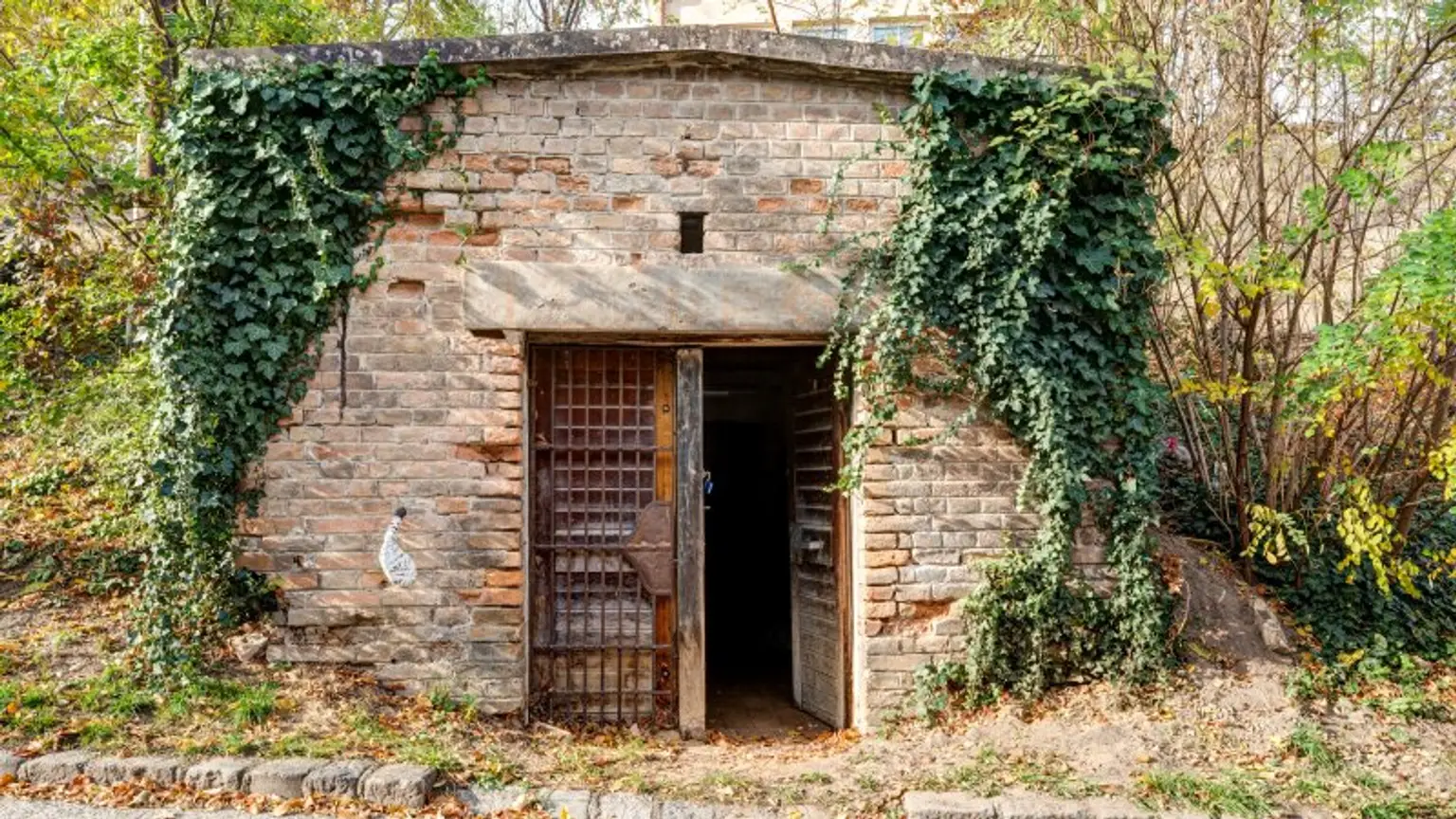 Keller im Stadtzentrum von Gänserndorf