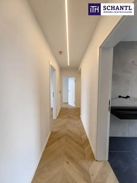 Modernes Penthouse mit 5!!! Sonnenterrassen *Erstbezug *Deckenkühlung *Wasser-Wasser-Wärmepumpe *geräumige Wohnküche *exklusive und stylische Ausstattung *schlüsselfertig