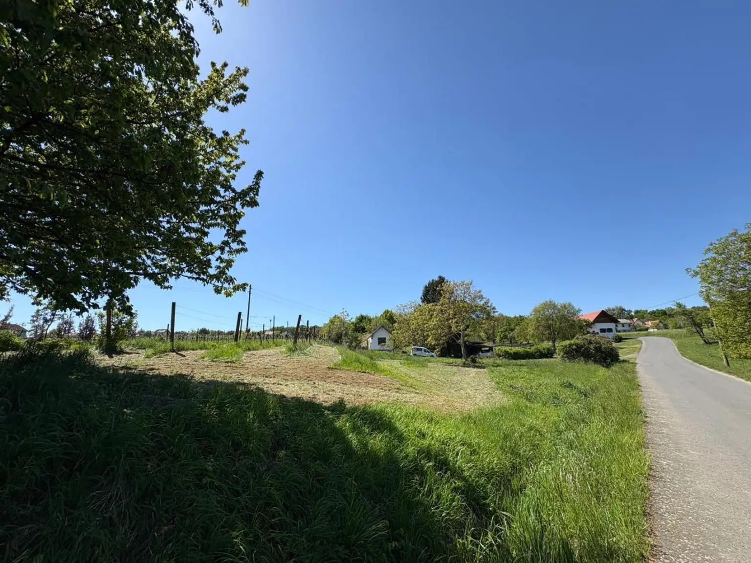 Grünruhelage