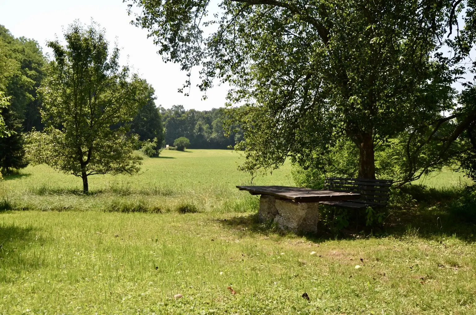 Grundstück.jpg