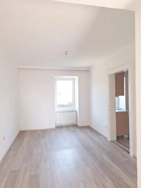 Sanierte  4 Zimmer Wohnung im Haus mit einem großen Garten