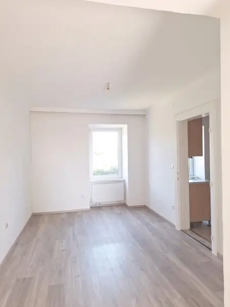 Sanierte  4 Zimmer Wohnung im Haus mit einem großen Garten