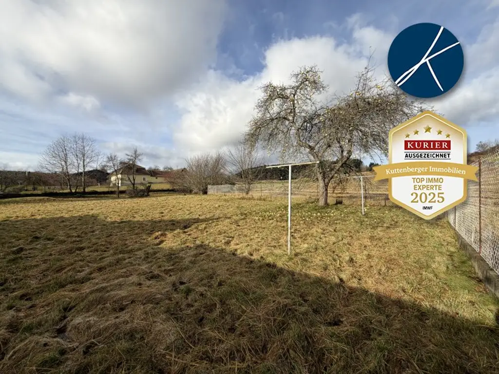 Sanierungsbedürftiges Landhaus mit großer GARTENFLÄCHE