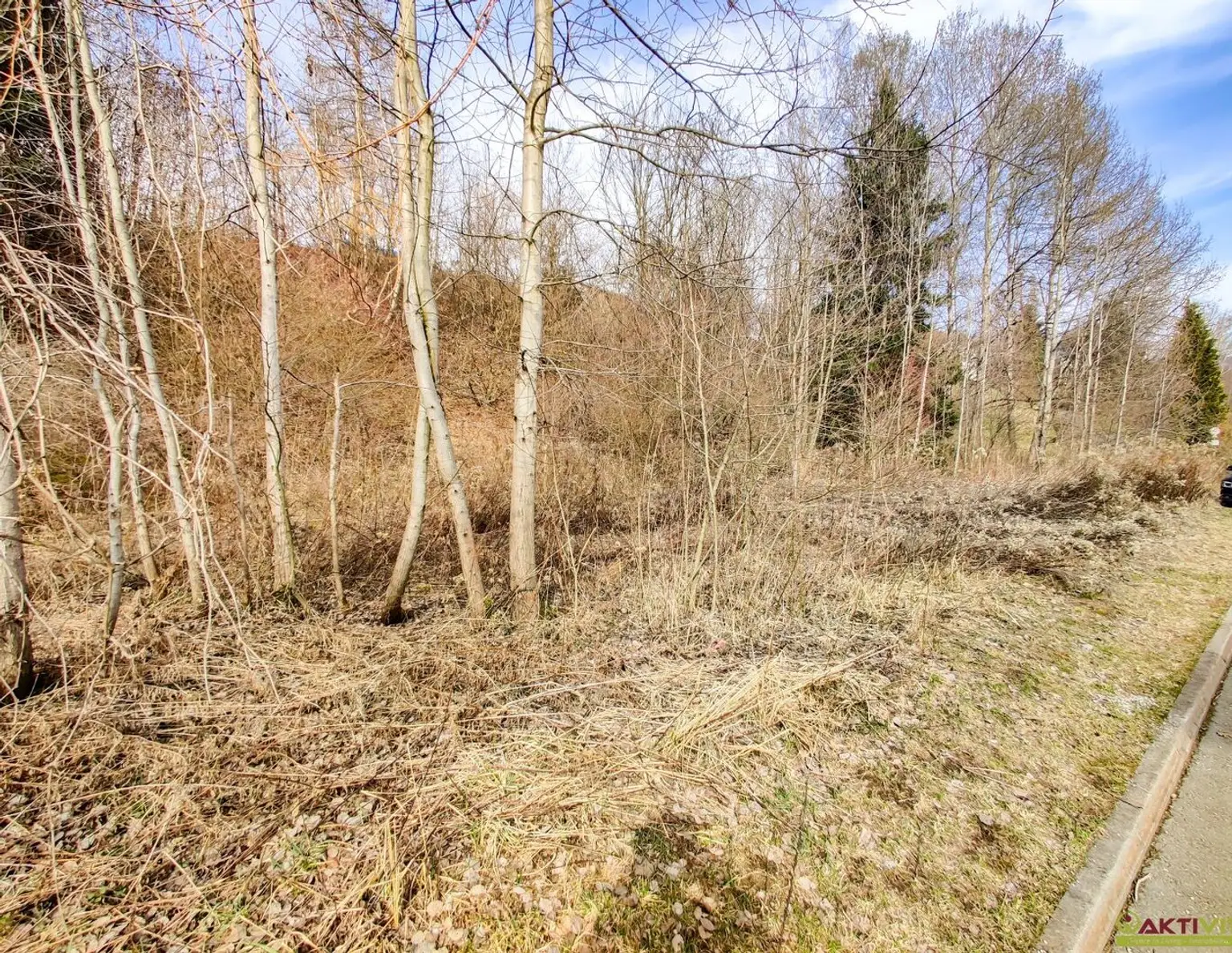 Großzügiges Baugrundstück mit Potenzial. - Verkauf auch in Teilflächen möglich und bis zu 1.450 m² Bruttogeschoßfläche realisierbar.