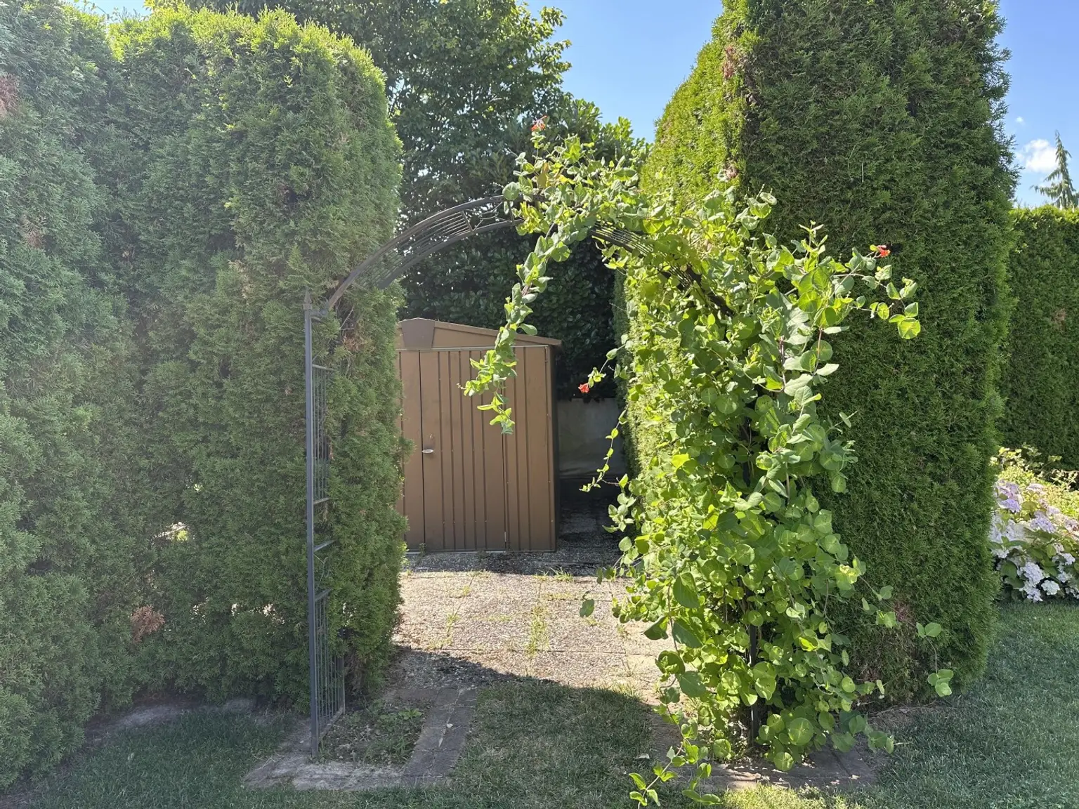 "Gepflegtes Einfamilienhaus mit Garten-Oase"