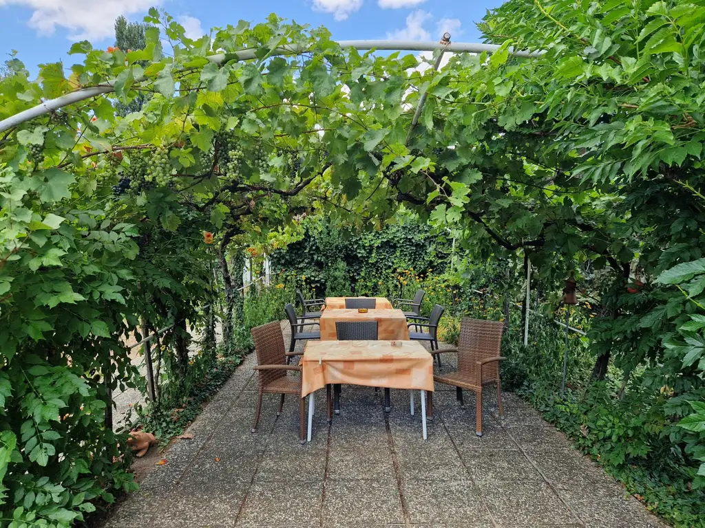 Zwischen Weinreben und Wellen-  Ein Haus mit Geschichte