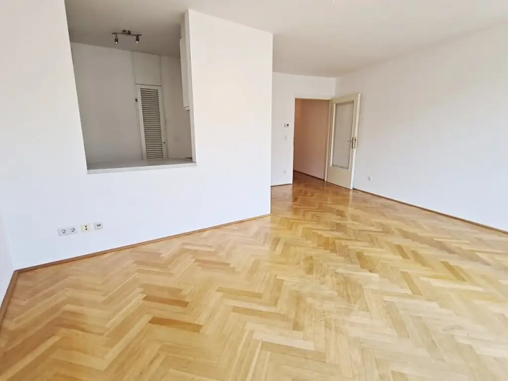 SALZTORGASSE, DONAUKANAL-NÄHE, 51 m2 Neubau mit Stehbalkon, 2 Zimmer, Komplettküche, Wannenbad, Parketten, Fernblick