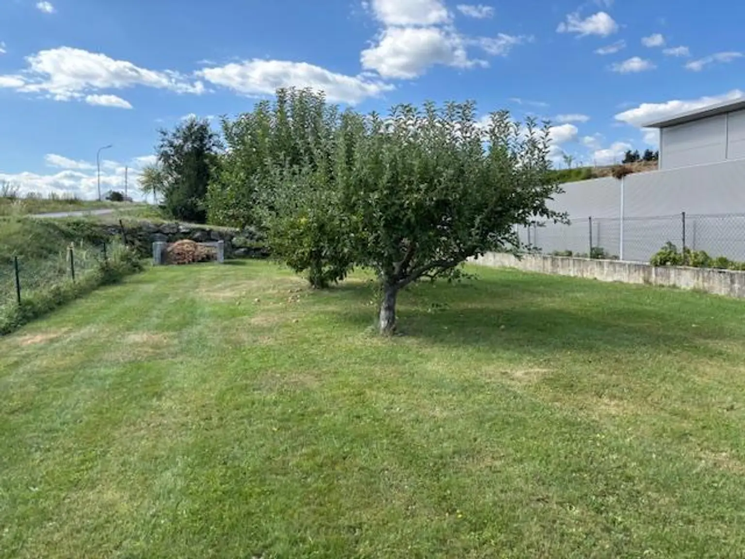 Obstgarten