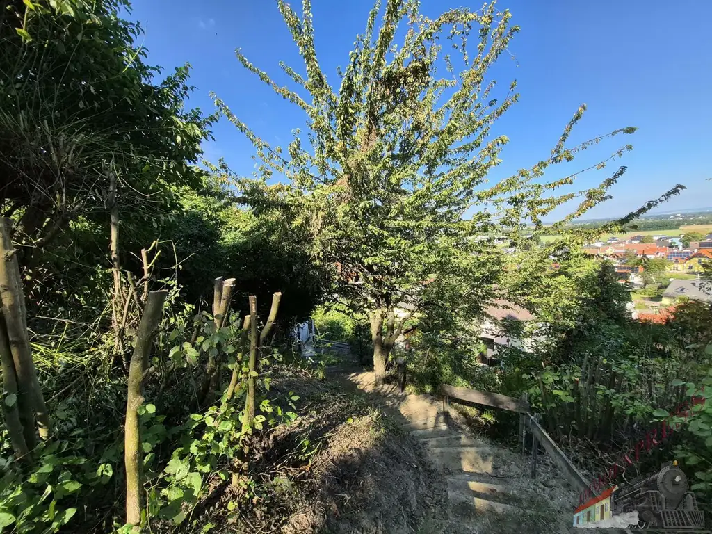 Zweifamilienhaus-riesiges Grundstück und Stallung-grenzenlose Möglichkeiten