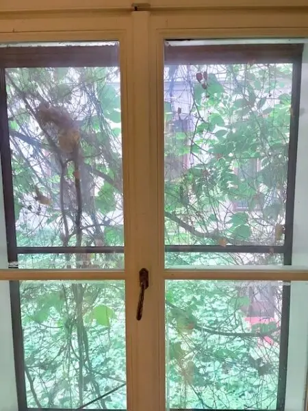 WOHNEN im 7-ten HIMMEL - INNENSTÄDTISCHE EigentumsWohnung - ELEGANTE Klassische Wiener-Altbau-Wohnung mit 2-Zimmern in Top Lage am SPITTELBERG - DURCHHAUS!