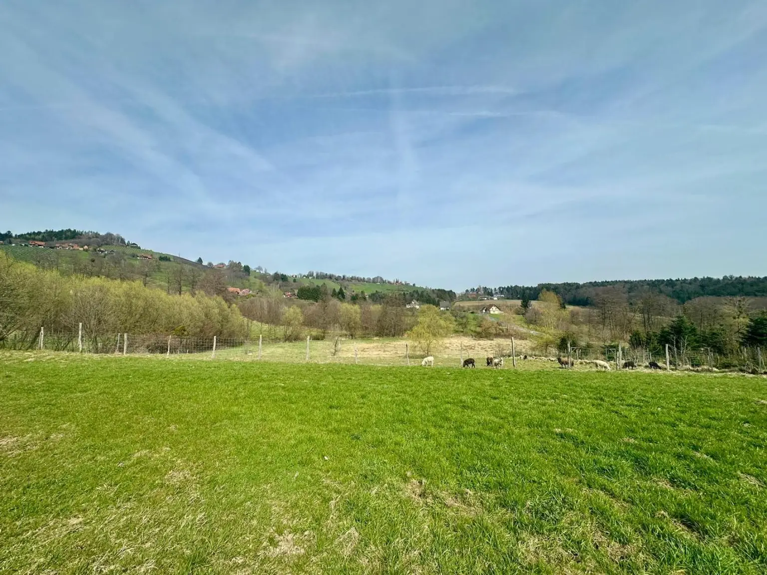 336_2 Baugrund Aussichtslage Vochera am Weinberg i