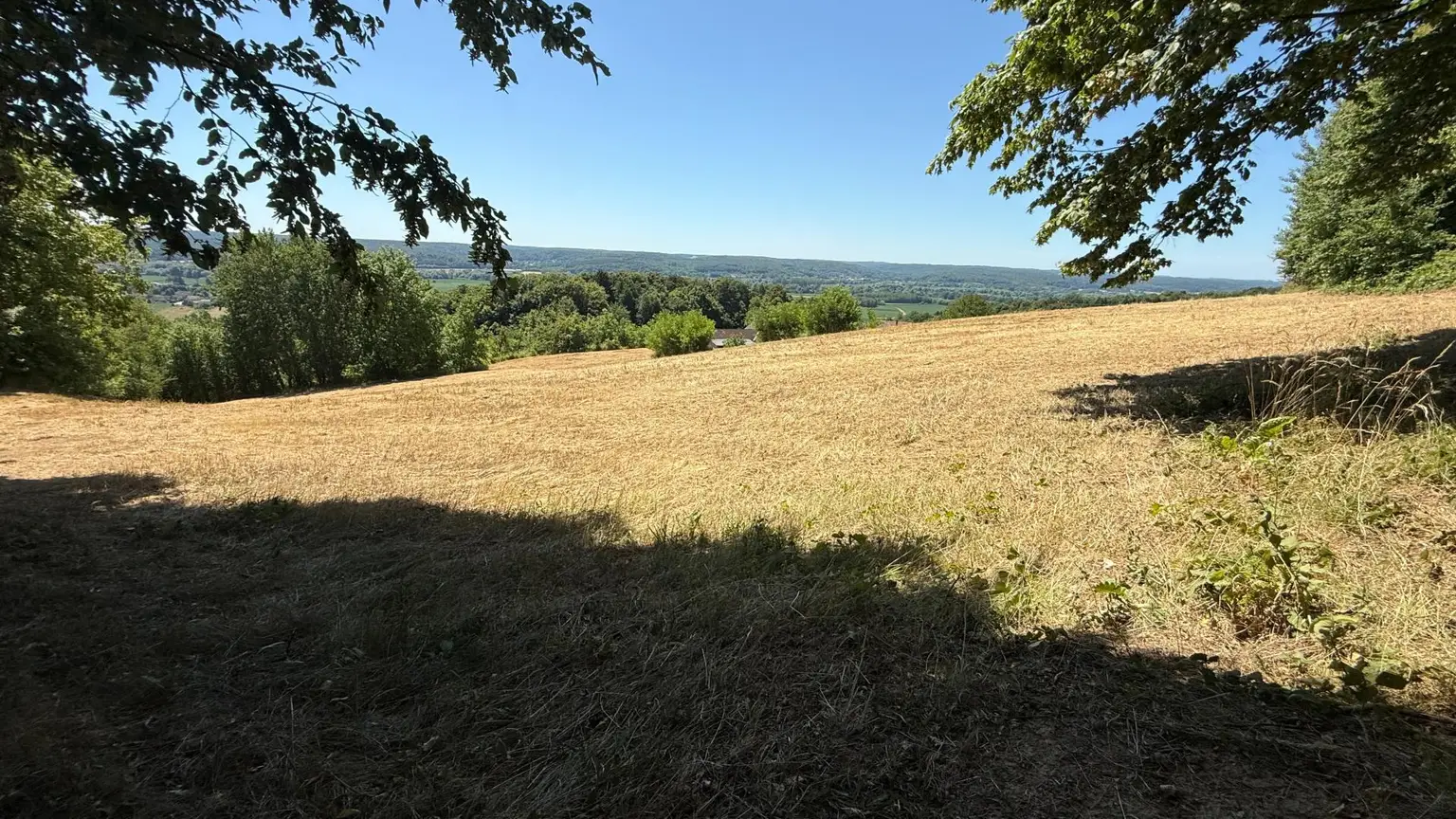 Sonnige Aussichts- & Alleinlage - Ihr neues Zuhause im Südburgenland