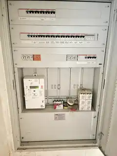 23