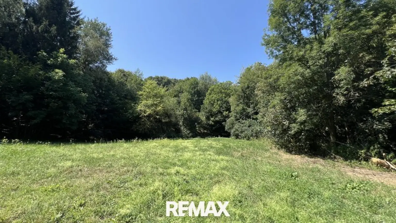 Blick in das Grundstück