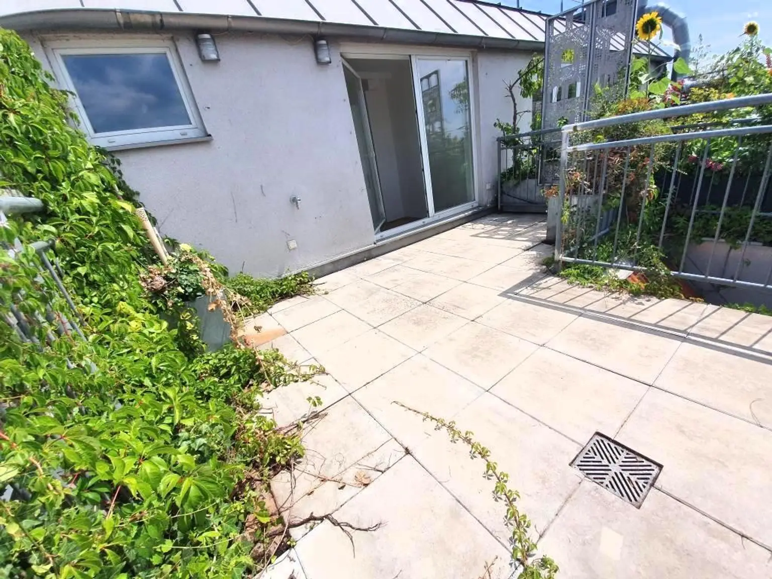 Terrasse - Dachgarten