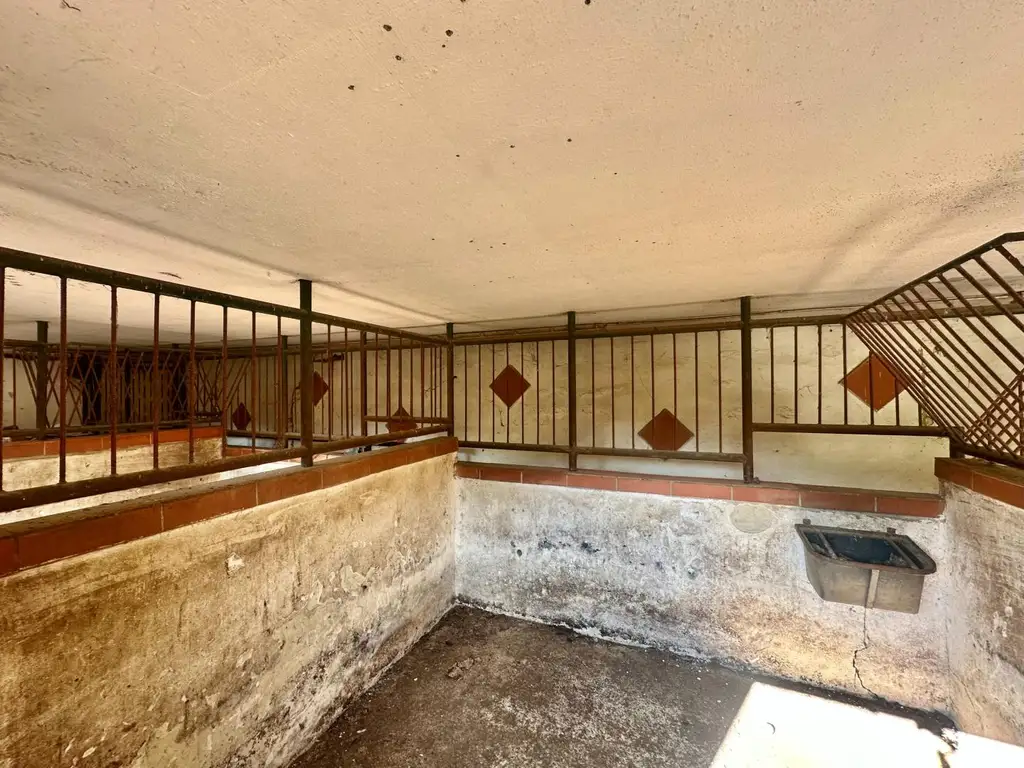 Reiterparadies im Weinviertel – Ihr Traum vom Landleben!