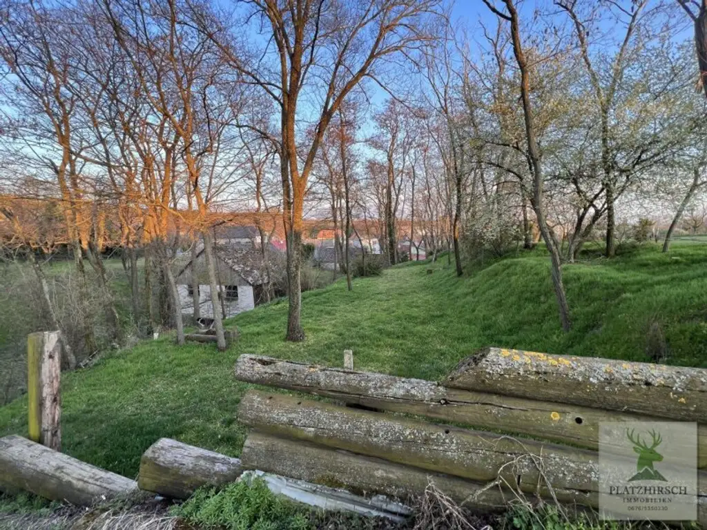 Einzigartiges Liebhaberobjekt mit toskanischem Flair, riesigem Garten, herrlichem Wintergarten, in Prottes - 35 Min von Wien - 8 Minuten von Gänserndorf