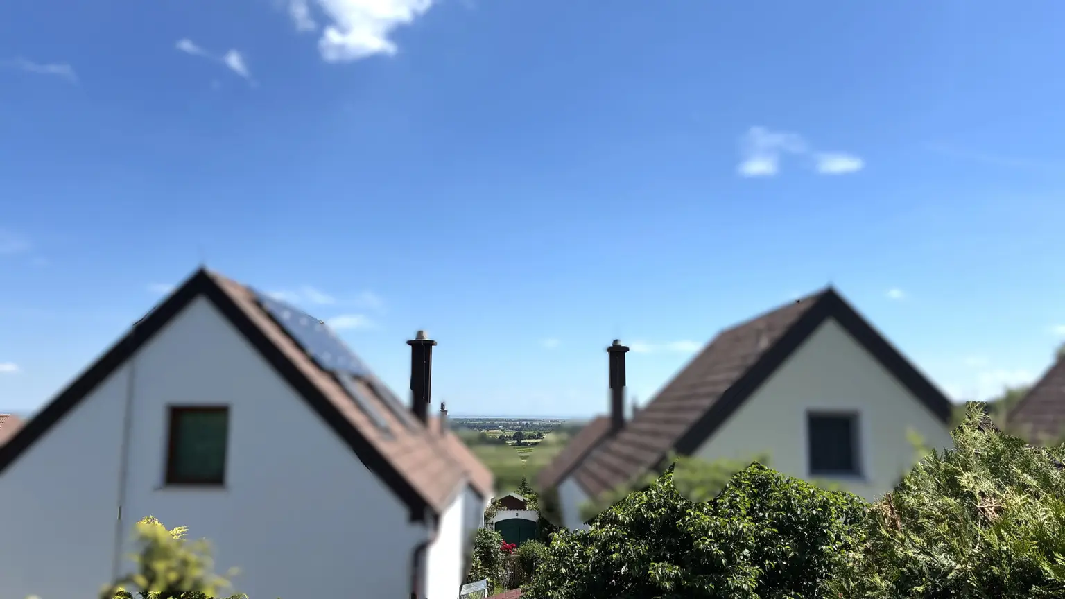 Sicht zum See