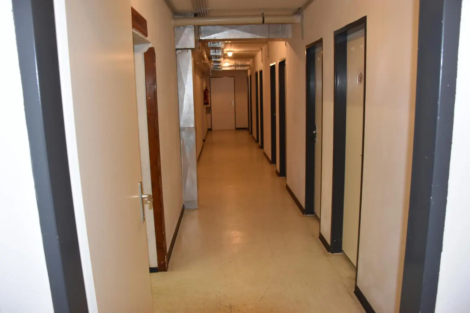 Kleine Wohnung im Grünen in Bad Kleinkirchheim