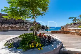Apartamento Playa Paraíso -9224