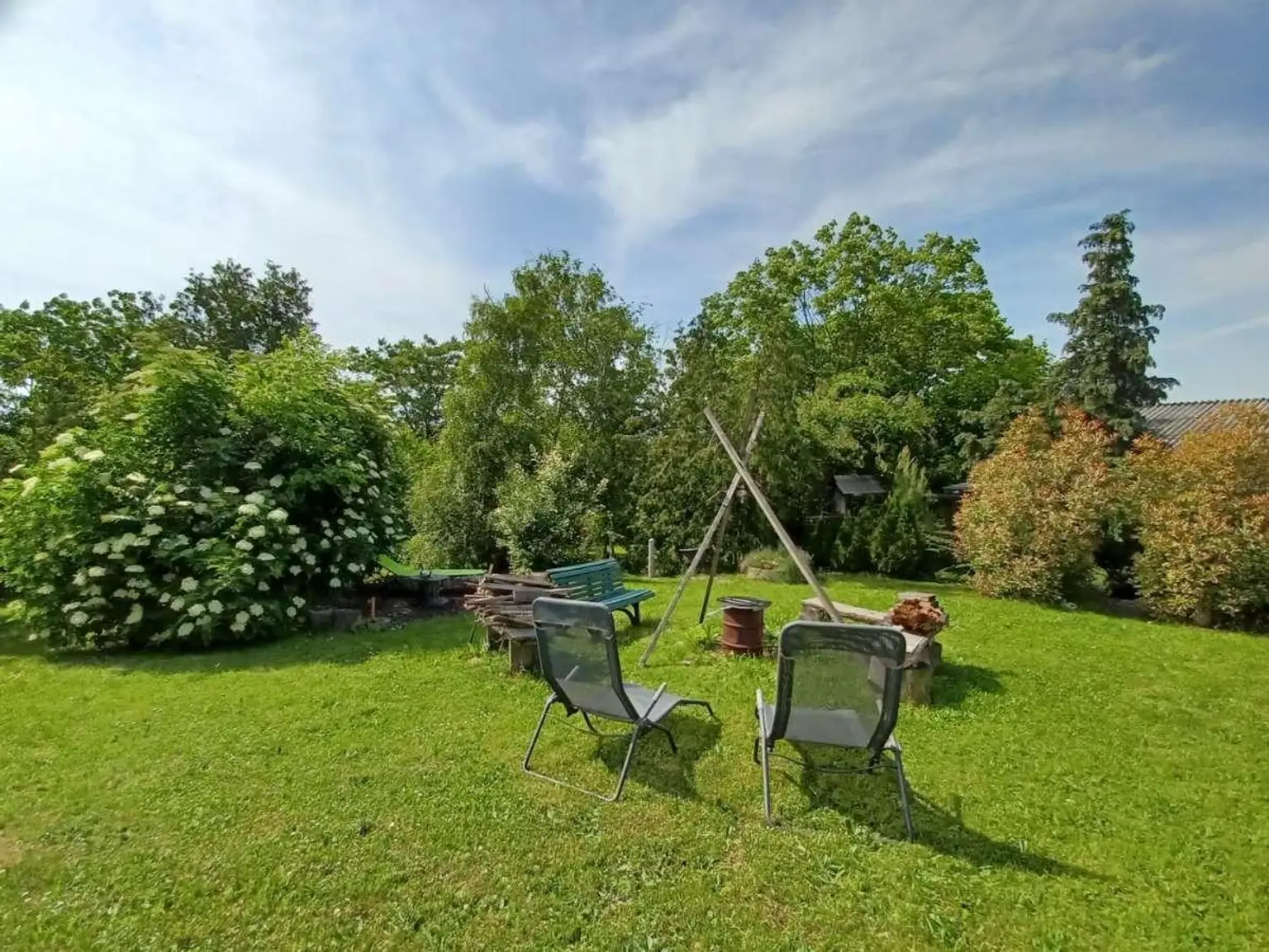 Garteneindrücke Sommer (1)