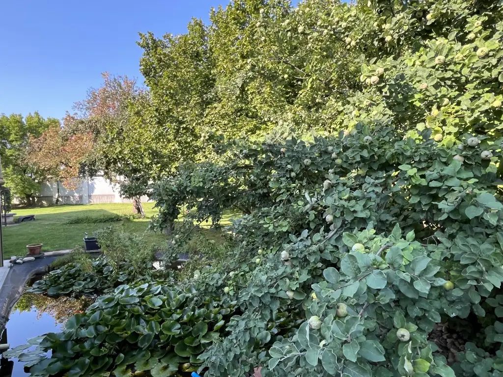 Sehr viel Platz im Haus und auch im traumhaften Garten