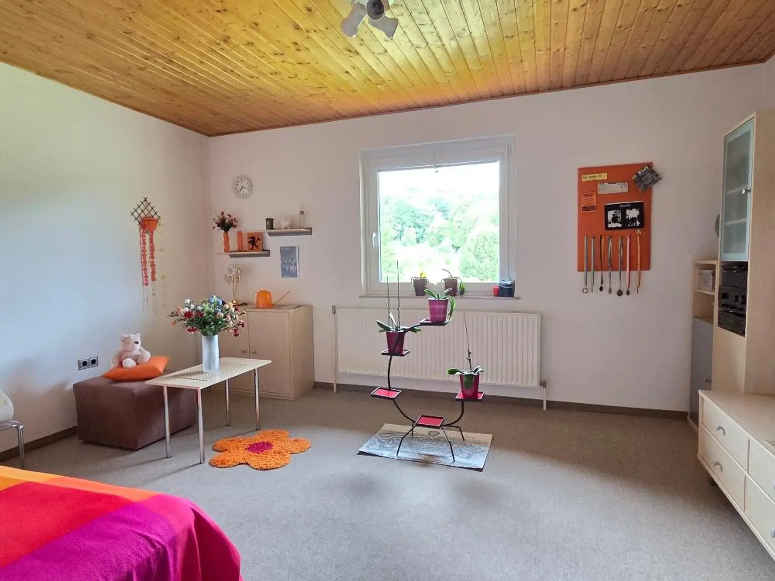 Zimmer2, DG
