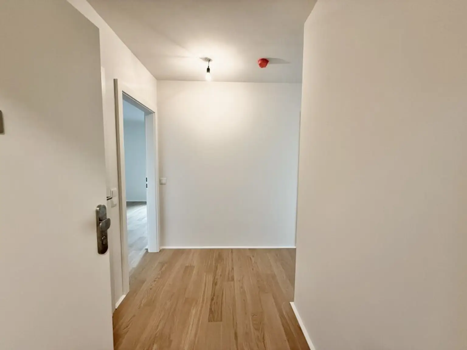 Tolle 3-Zimmer Wohnung in traumhafter Lage nahe dem Kagraner Platz! Erstbezug auf Eigengrund, provisionsfrei und fertiggestellt