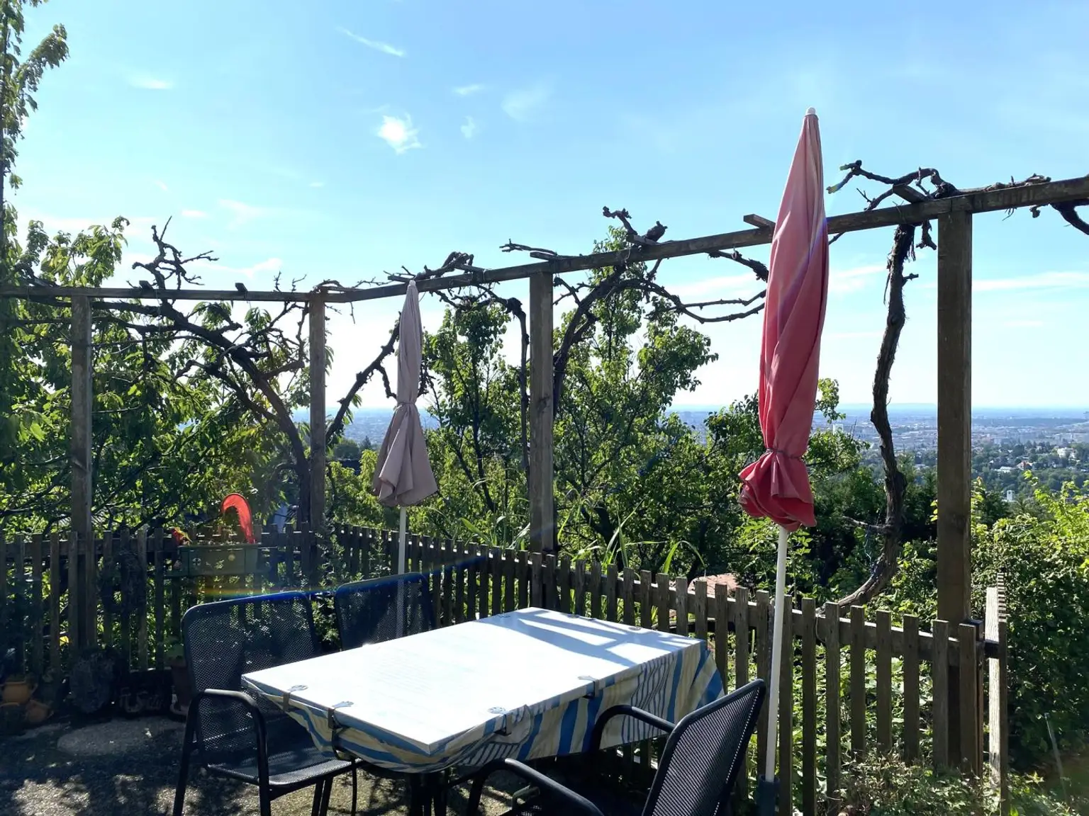 Top Aussichtslage am Schafberg!