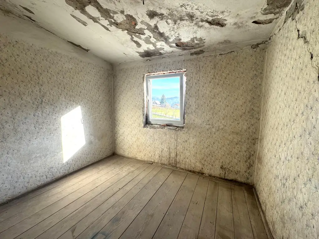 Sanierungsbedürftiges Mehrfamilienhaus mit großem Grundstück und hoher Bebauungsdichte