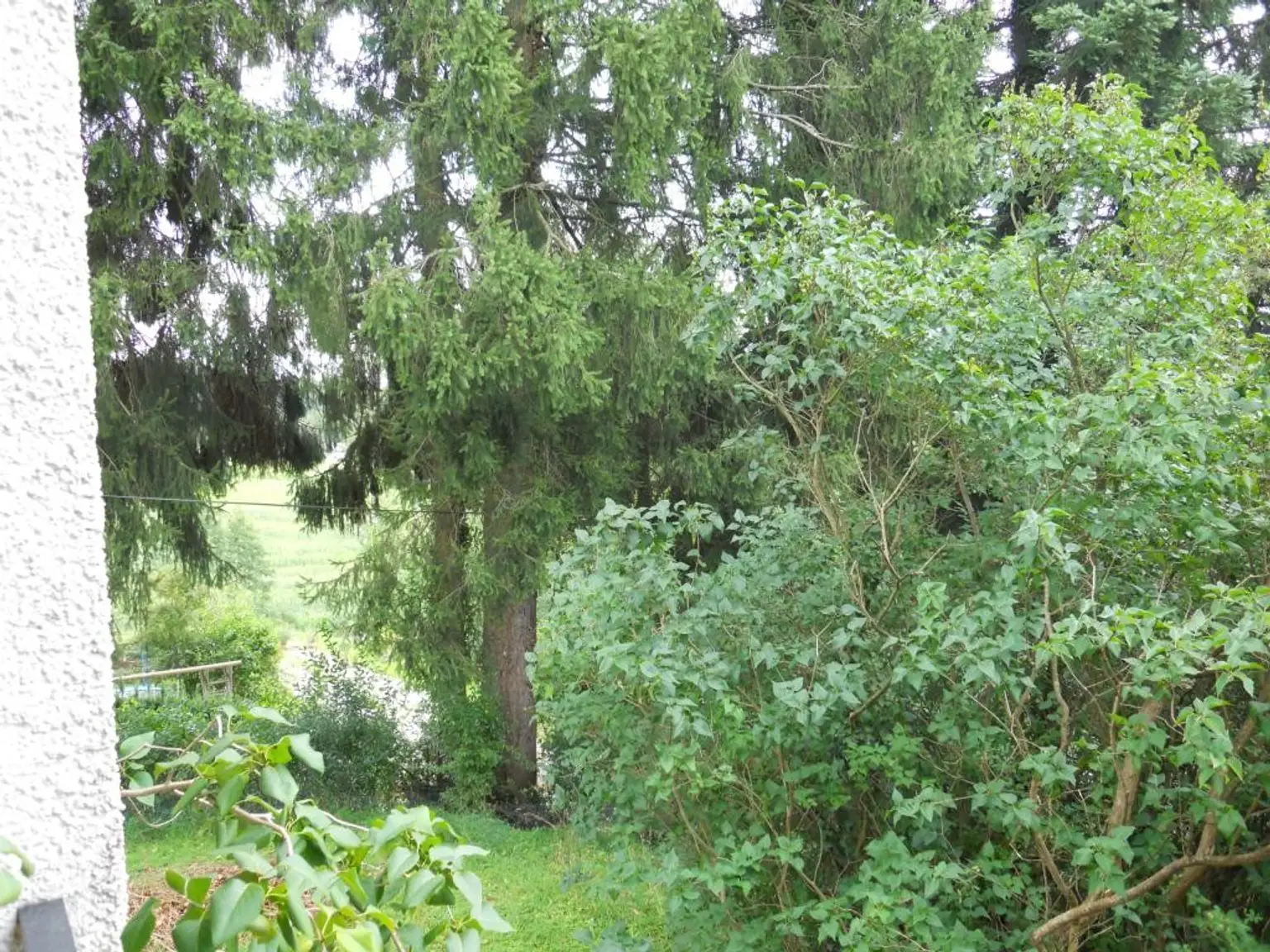 Doppelhaushälfte in herrschaftlichem Haus!