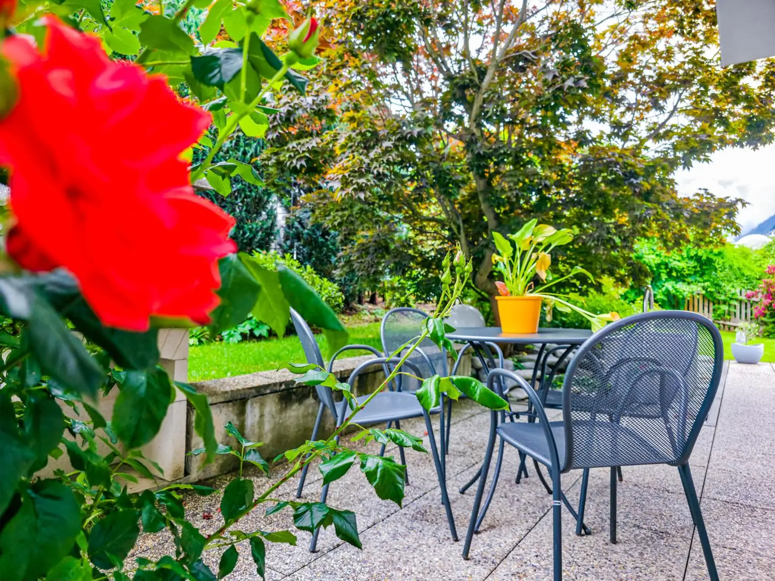 Terrasse