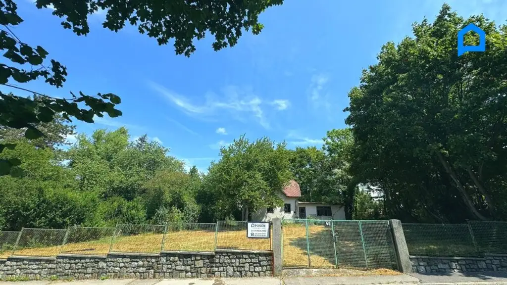 "Platz für Ihre Vision -- Baugrund ca. 952 m² -- optimale Breite u. Tiefe -- Südhang am Wolfersberg."