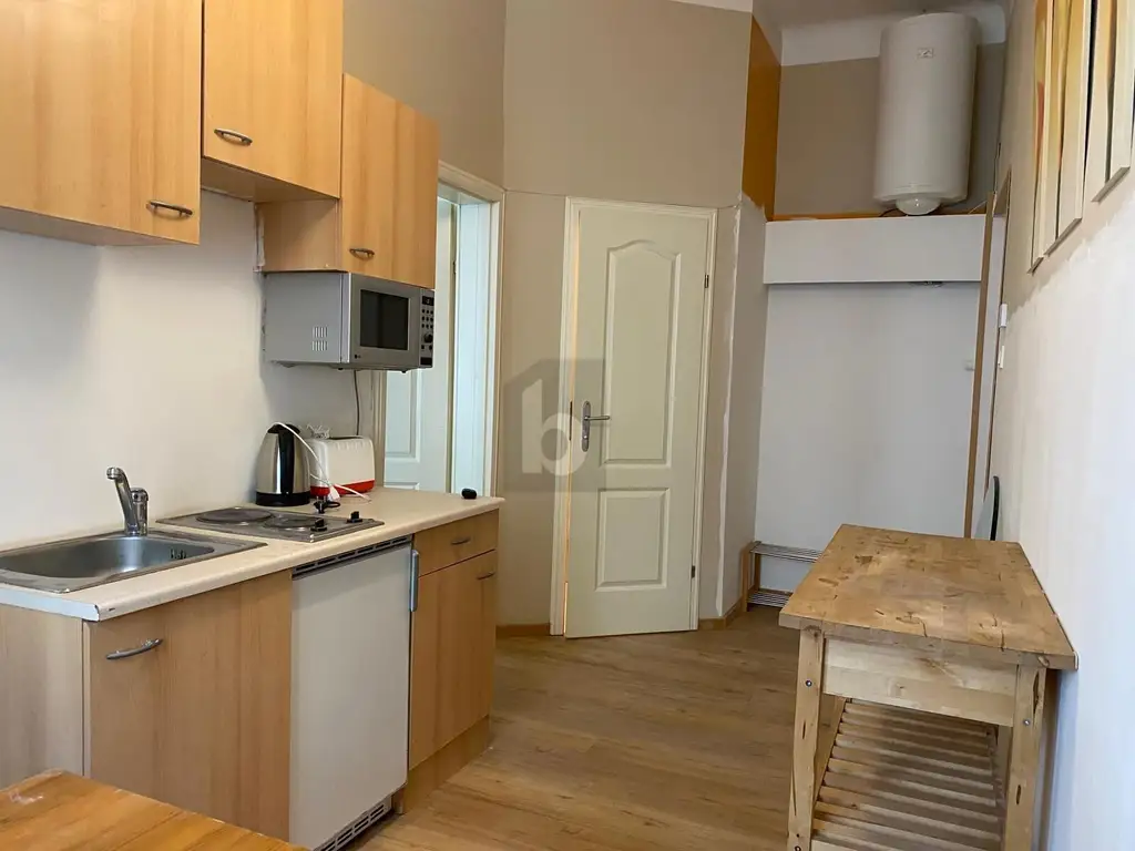 MÖBLIERTE CITYWOHNUNG