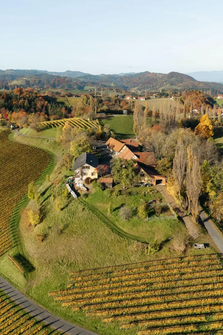 Buschenschank/Heuriger Eory zum Traubenkogel zu verkaufen!