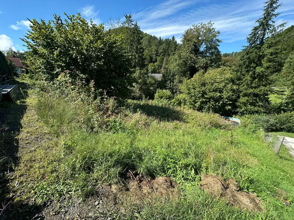 Baugrundstück in ruhiger Lage in Graz Gösting/ Thal