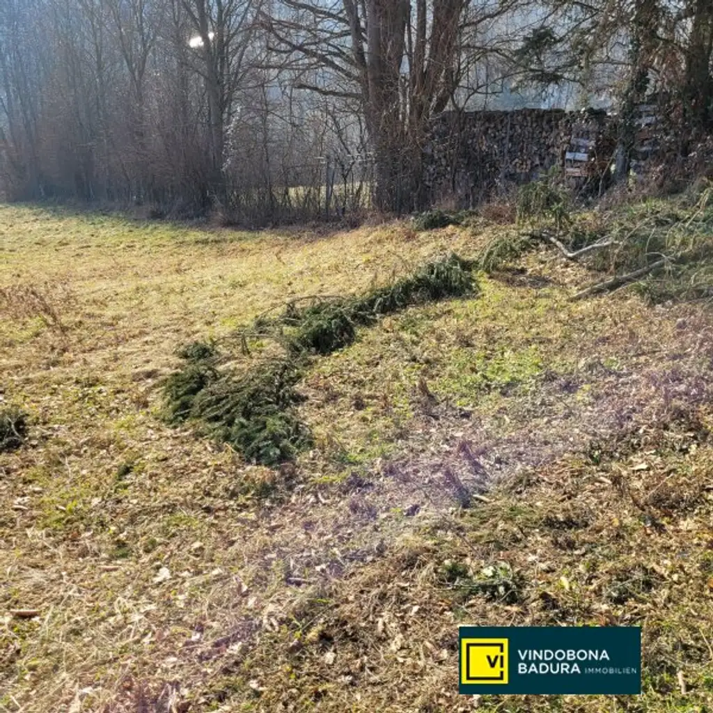 PRESSBAUM!  SCHLÜSSELFERTIGES FAMILIENEIGENTUM AUF 765m² EIGENGRUND IN BESTER LAGE.