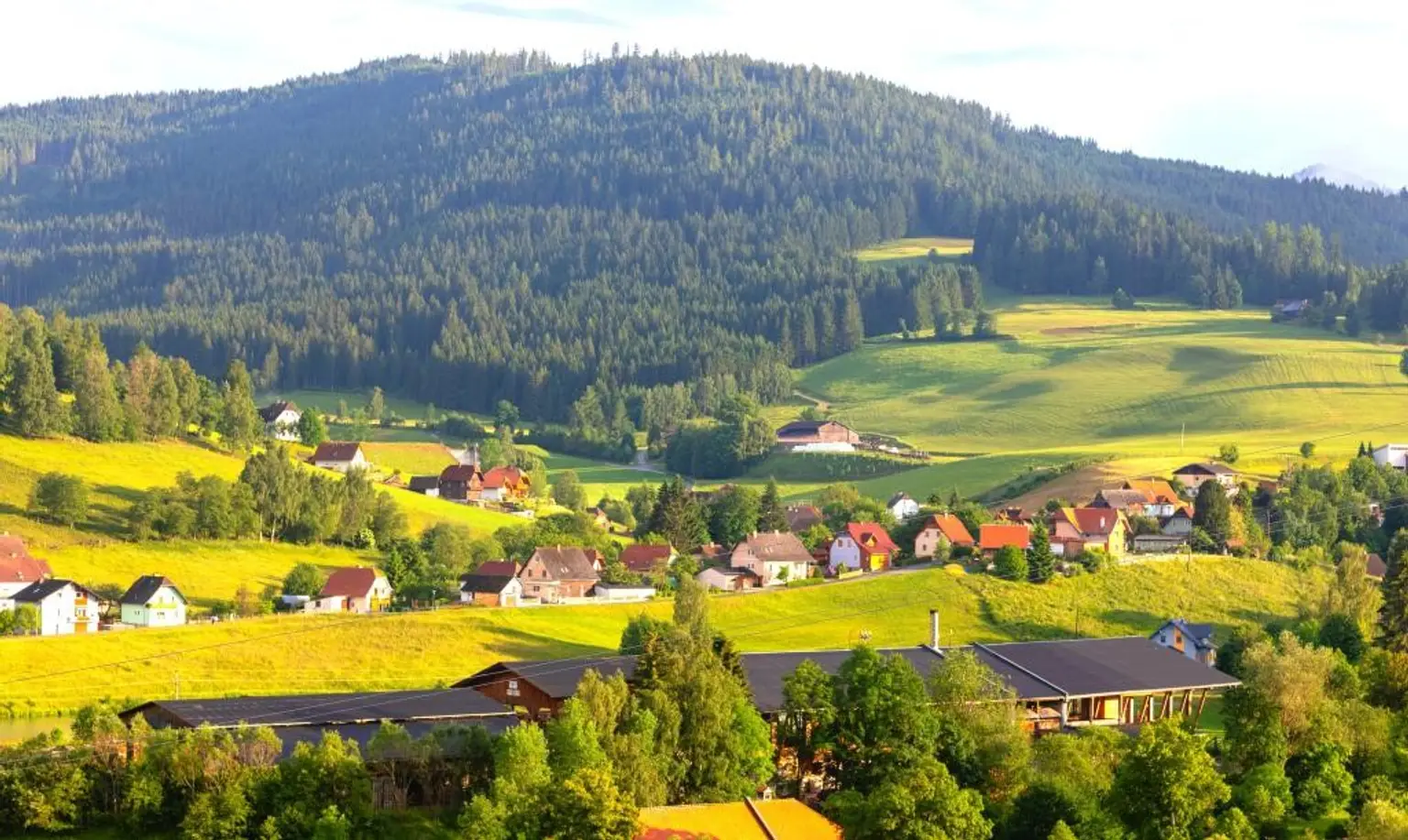Mountain Resort - Ferienhaus im Naturpark Zirbitzkogel-Grebenzen