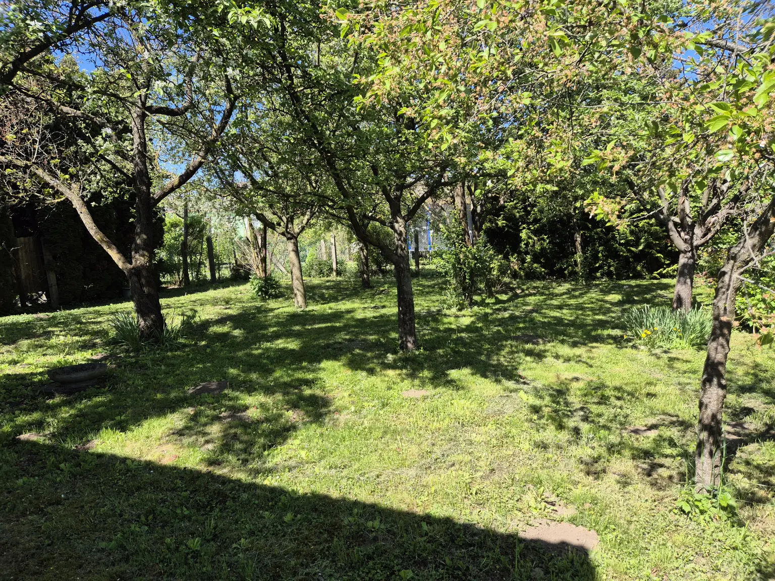 Garten1