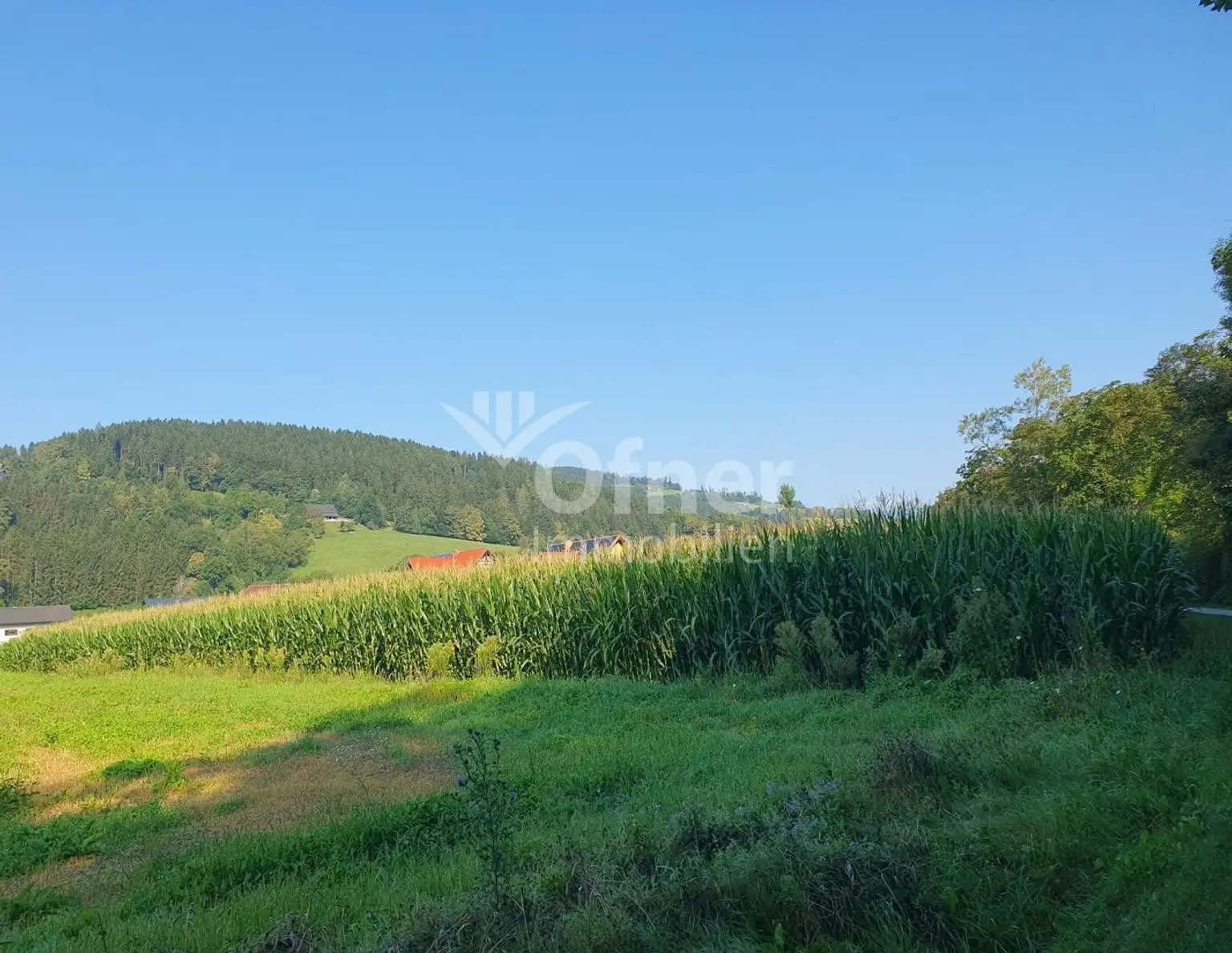 Gut bearbeitbares Ackergrundstück in Bärnbach