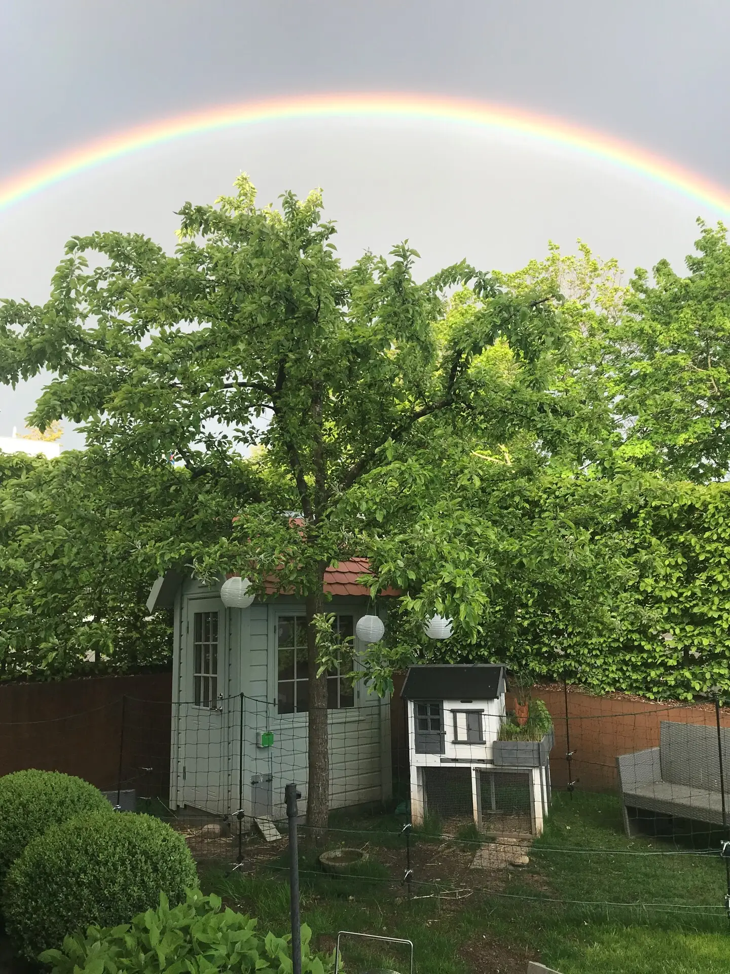Gartenansicht Sommer Foto aus Privatbestand