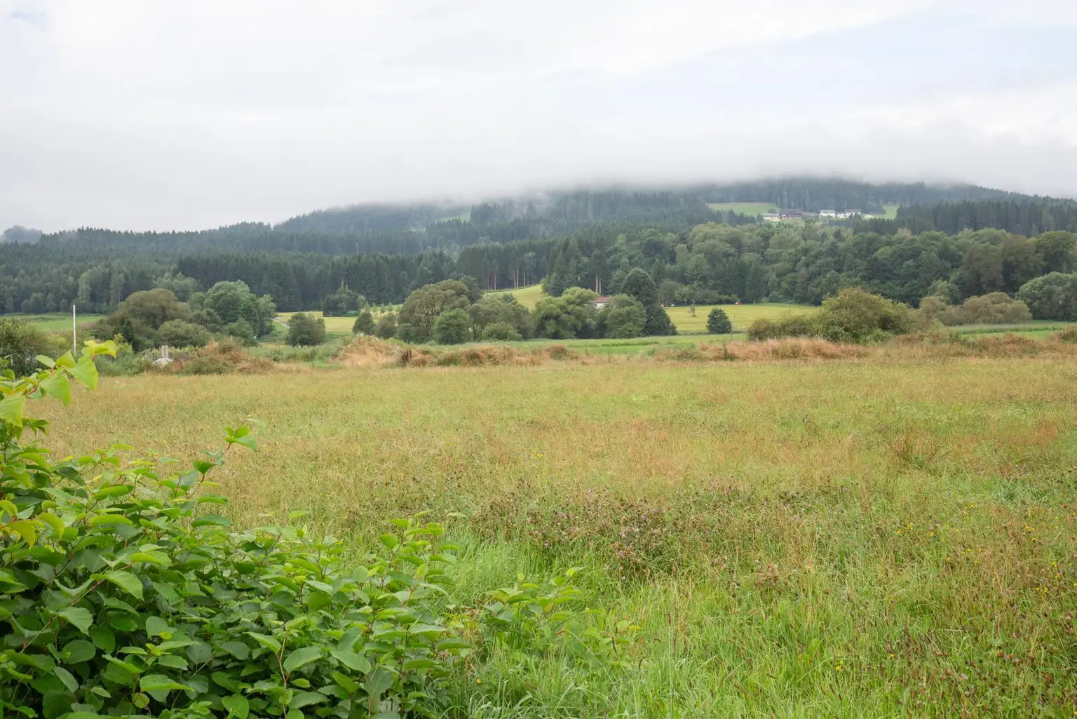 Ansicht