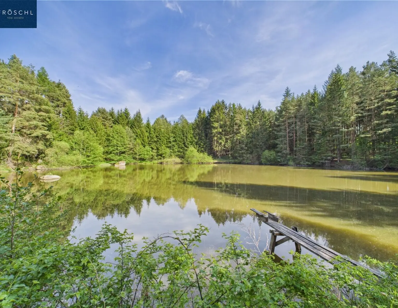 NATURJUWEL WALDVIERTEL - Professionelle Waldteichanlage 4,3 ha - ANGEBOTSVERFAHREN