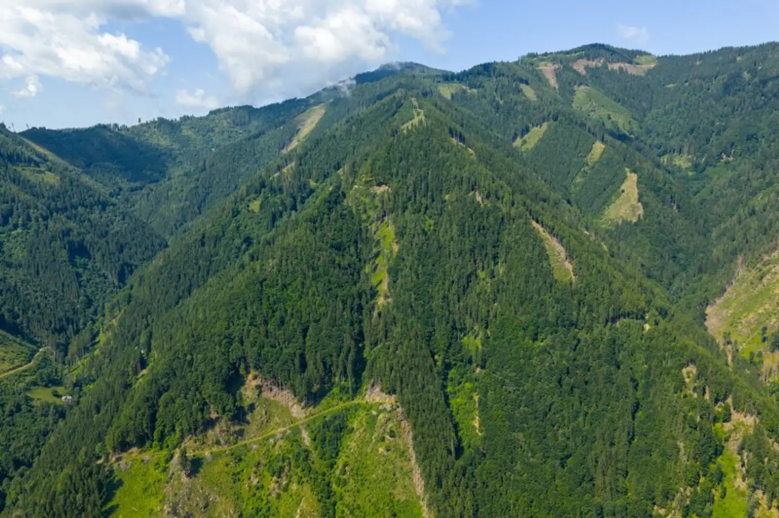 123 ha Eigenjagd mit hohem Altholzbestand