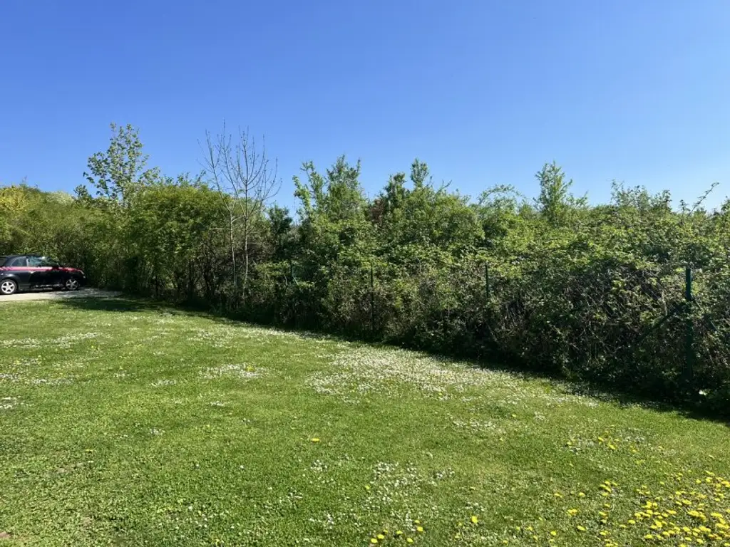 Moderne, zentrumsnahe Familienvilla mit großem Garten in gefragter Grünruhelage (!)