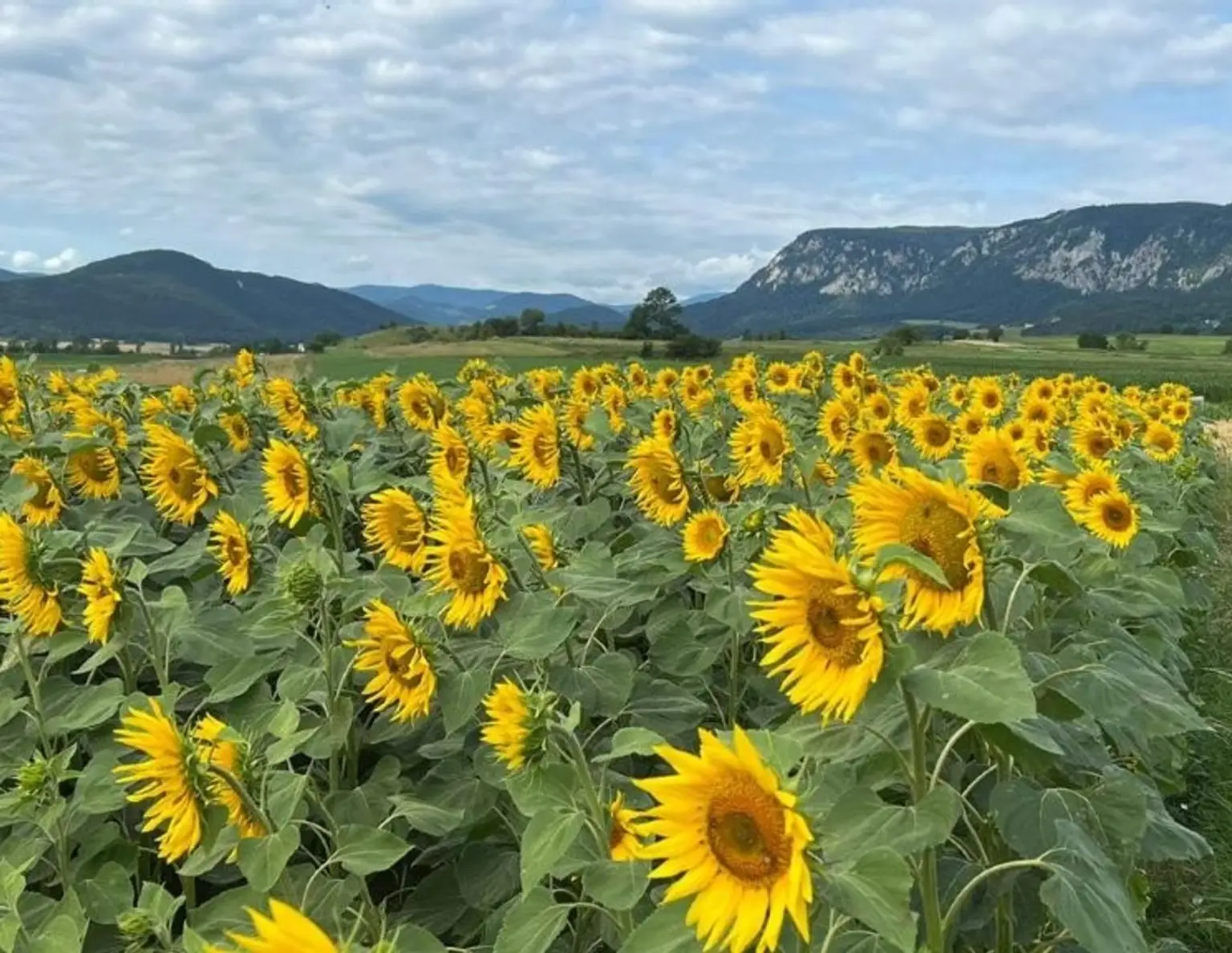 Traumhaftes Baugrundstück in bester Lage - Natur pur & Weitblick inklusive!
