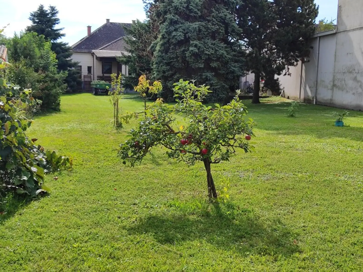 Einfamilienhaus auf großem Grundstück in Siegendorf! Sanierungsbedarf!