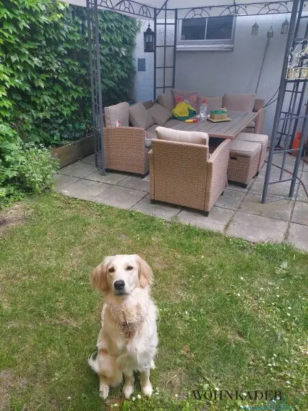 Großzügige 2-Zimmer-Gartenwohnung – ein Ruhepol mit 80 m² Außenfläche