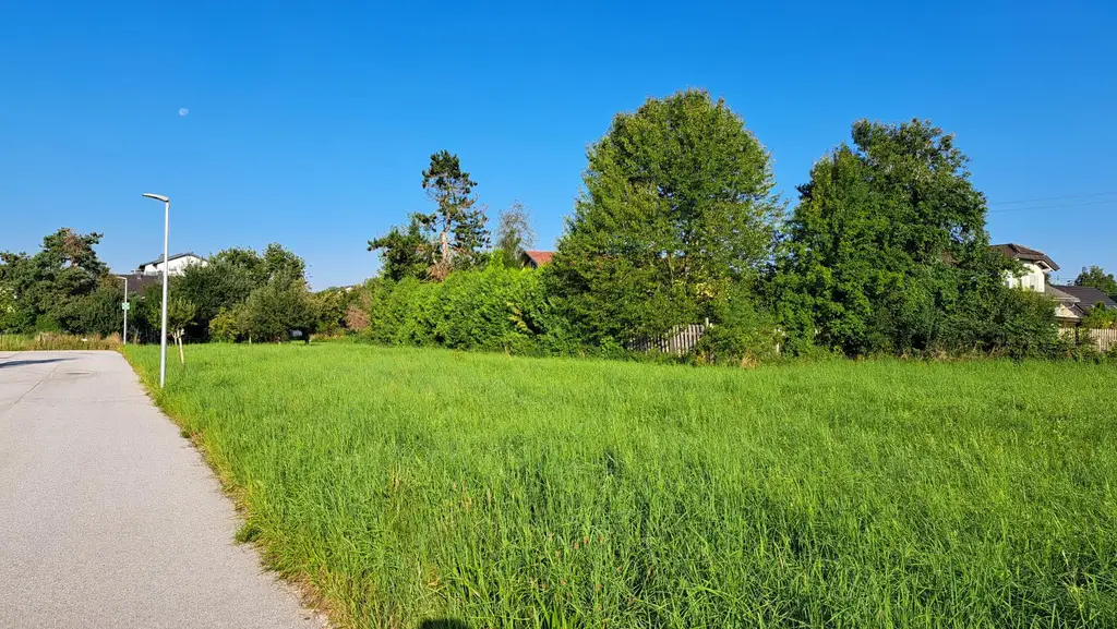 Baugrund