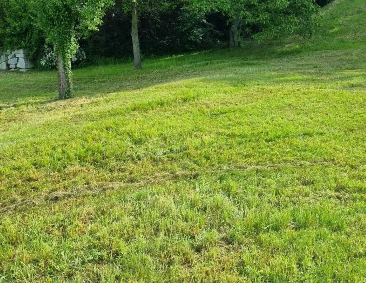 Baugrundstück in 4111 Walding